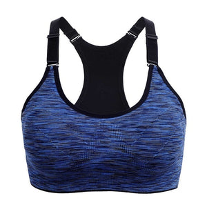 FREE   Shakeproof Push Up Dry WOMEN Sports Push Up Bra