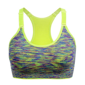 FREE   Shakeproof Push Up Dry WOMEN Sports Push Up Bra